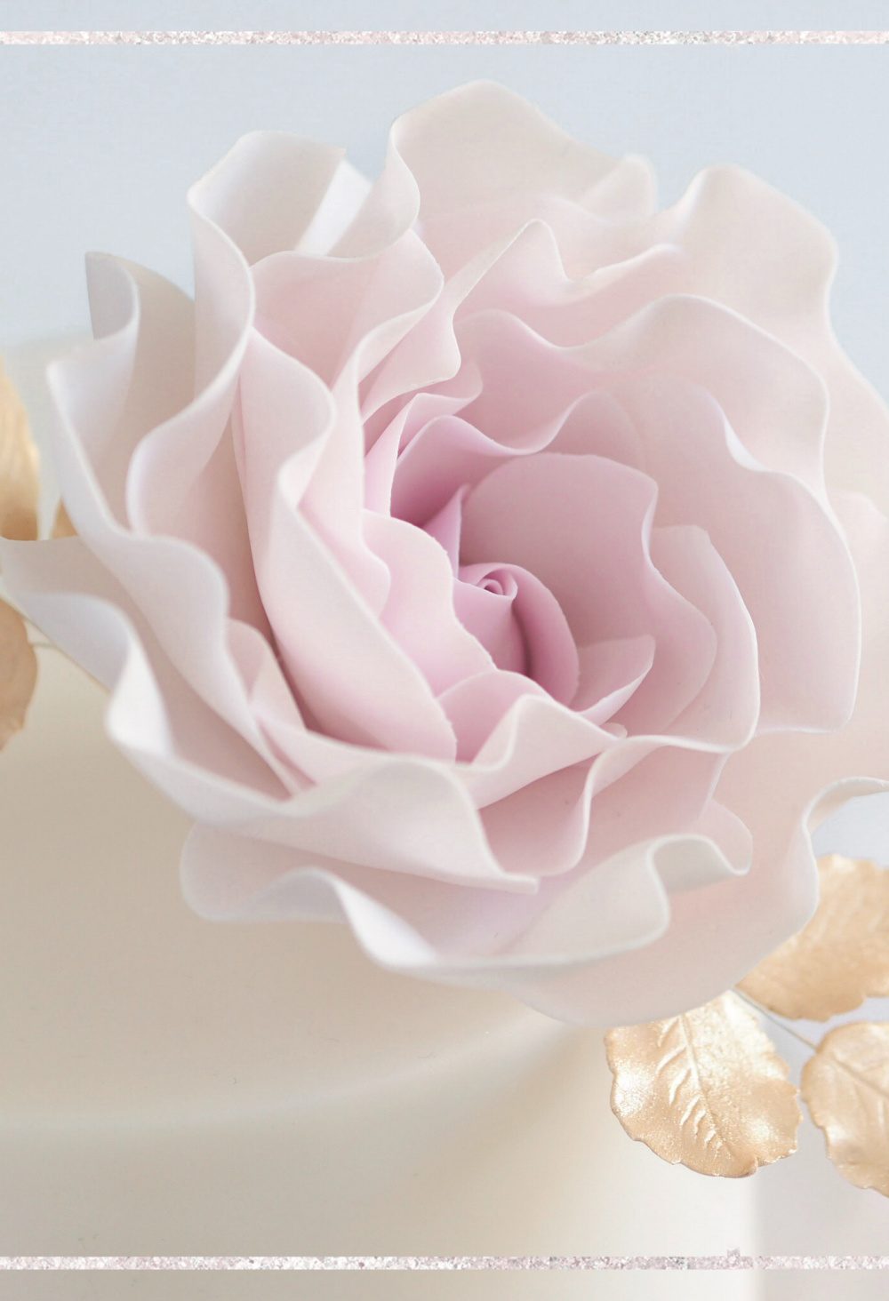 Romantic Rose